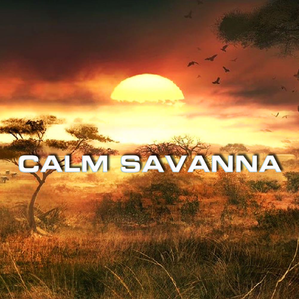 Wild Life Magazine Savanna (Nature Documentaries Remix)