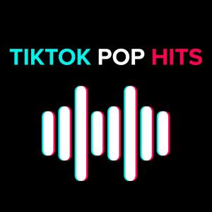 ดาวน์โหลดและฟังเพลง Dandelions (slowed + reverb) พร้อมเนื้อเพลงจาก Ruth B