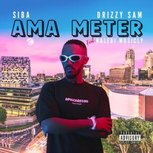 Siba的專輯AmaMeter (feat. Naledi Musicly) [Explicit]