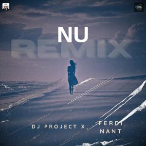 :FERDI NANT的專輯Nu (feat. Dj Project) [Remix]