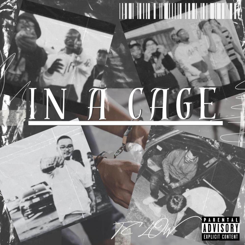 In A Cage (feat. JPbeatz) (Explicit)