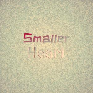 Album Smaller Heart from Various