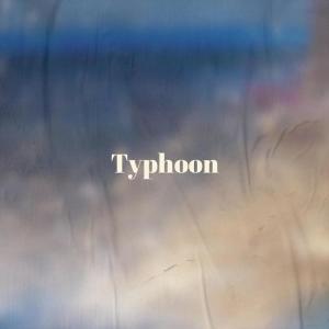 Album Typhoon from Various
