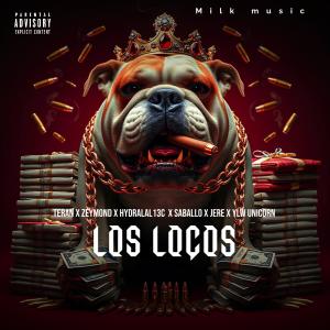 收聽Zeymond company的LOS LOCOS (feat. Teran, Hydralal3c, YLW unicorn, Saballo, Jere & Milk music) (Explicit)歌詞歌曲