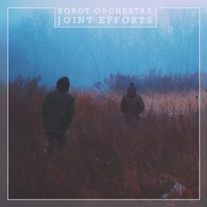 收听Robot Orchestra的Wrecking Ball(with Lidly)歌词歌曲