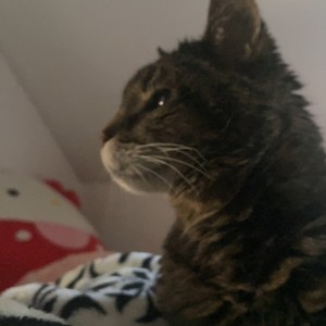 ดาวน์โหลดและฟังเพลง Games พร้อมเนื้อเพลงจาก PeaXIII