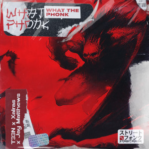 T33N的专辑WHAT THE PHONK (Explicit)