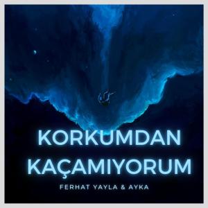 Listen to Korkumdan Kaçamıyorum song with lyrics from Ferhat Yayla Official