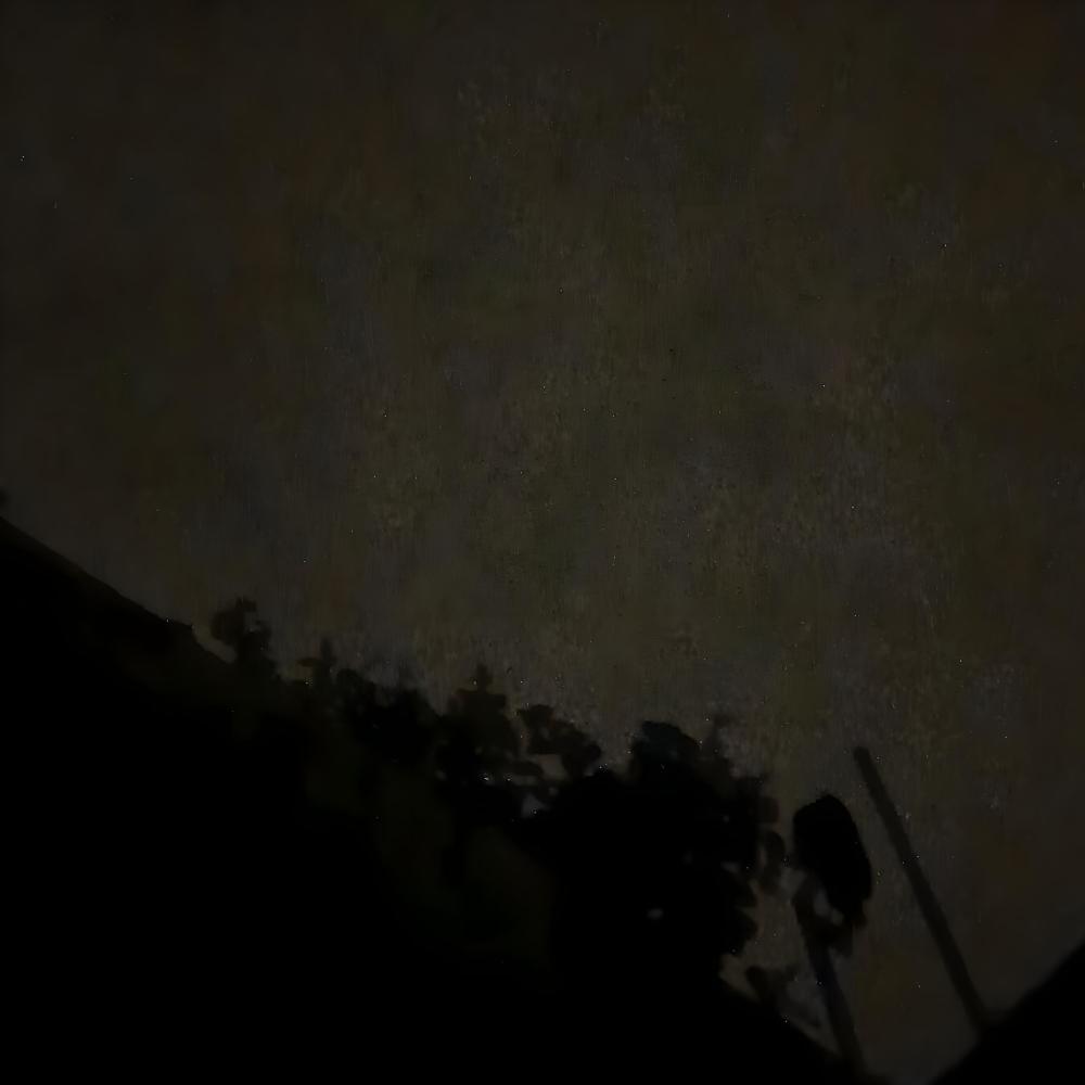 Solo
