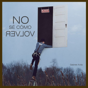 Listen to No sé cómo Volver song with lyrics from Gabriel Avila