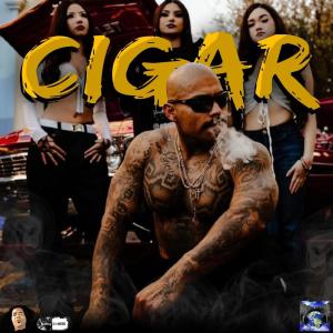 DirtyLow的專輯CIGAR (feat. OG POPPY, BEEZE 4 SHO & AYANA BUTTERFLY) [Explicit]