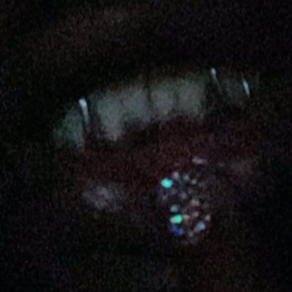 Talm bout nun (Explicit)