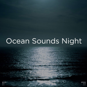 收聽Ocean Sounds的睡眠のための海の音歌詞歌曲
