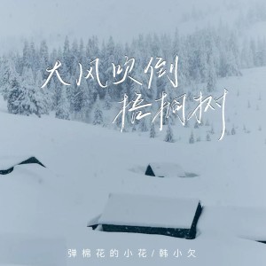 Album 大风吹倒梧桐树 oleh 韩小欠