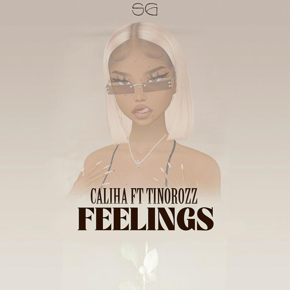Feelings (feat. Tinorozz) (Explicit)