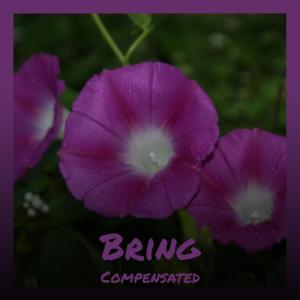 Album Bring Compensated from Various