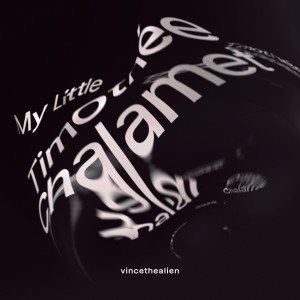 ดาวน์โหลดและฟังเพลง My Little Timothee Chalamet (Explicit) พร้อมเนื้อเพลงจาก vincethealien