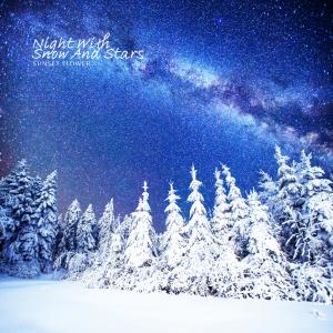 Dengarkan lagu Night With Snow And Stars nyanyian Sunset Flower dengan lirik