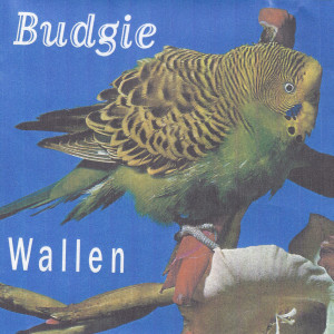收聽Einar Wallen Mjåland的Monday歌詞歌曲
