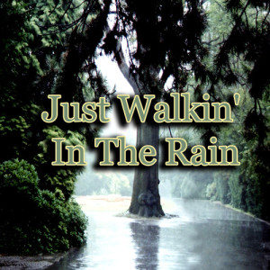 收聽Johnny Ray的Just Walkin' in the Rain歌詞歌曲