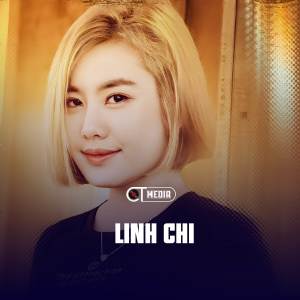 Linh Chi的專輯Hữu Duyên Huynh Đệ (Remix)