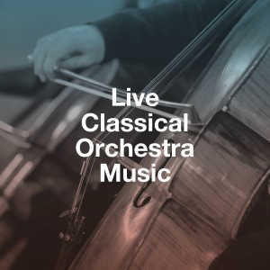 Dengarkan Organ Concerto No. 4 in F Major, Op. 4 No. 4, HWV 292: I. Allegro lagu dari Handel Festival Chamber Orchestra dengan lirik