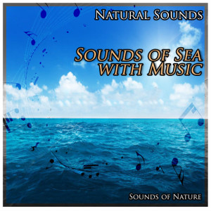 收聽Sounds Of Nature的Natural Sounds: Sounds of Sea with Music歌詞歌曲