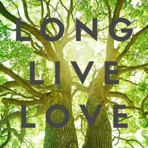 ดาวน์โหลดและฟังเพลง Not Another Love Song พร้อมเนื้อเพลงจาก Jack Stafford