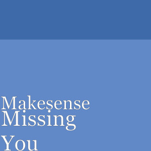 Makesense的专辑Missing You
