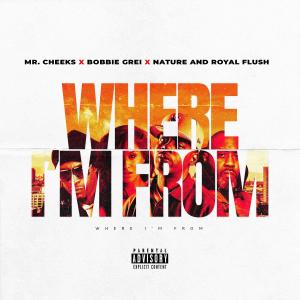 收聽Mr. Cheeks的Where I'm From (feat. Nature, BOBBiE GREi & Royal Flush) (Explicit)歌詞歌曲