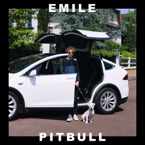 收聽Emile的Pitbull歌詞歌曲