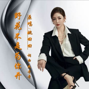 Listen to 野花不是为你开 (伴奏) song with lyrics from 杰哥哥