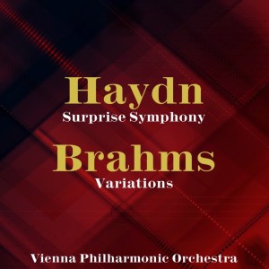 ดาวน์โหลดและฟังเพลง Symphony No. 94 in G Major, Hob. I:94 - "Surprise": III. Minuetto and trio พร้อมเนื้อเพลงจาก Vienna Philharmonic Orchestra