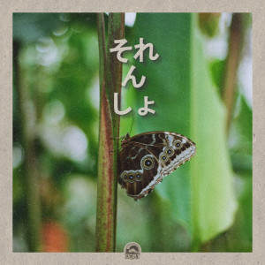 收听Charlie Tea的Sorensho歌词歌曲