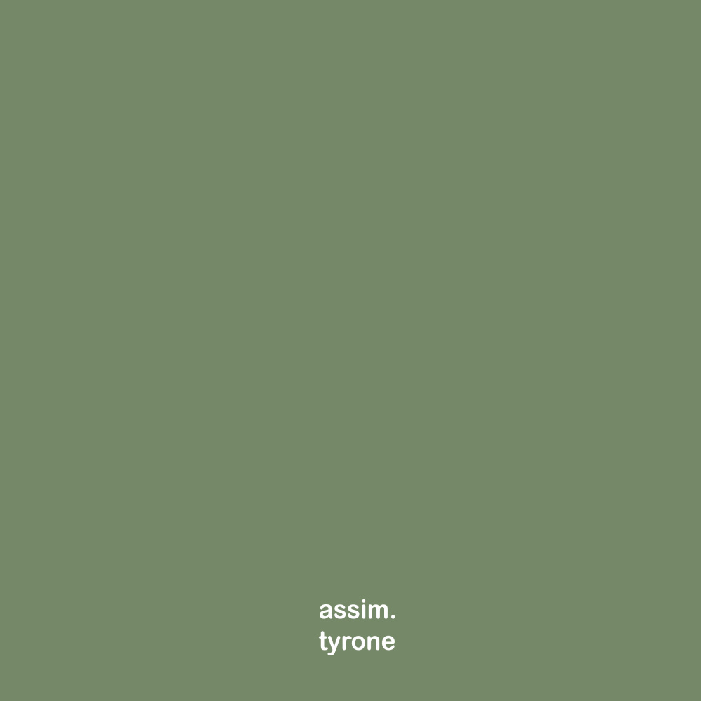 Assim (Demo)