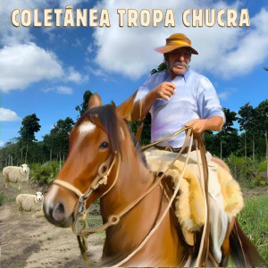 收聽Coletânea Tropa Chucra的Minha Saudade歌詞歌曲