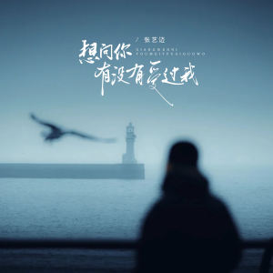 อัลบัม 想问你有没有爱过我 ศิลปิน 张艺迈