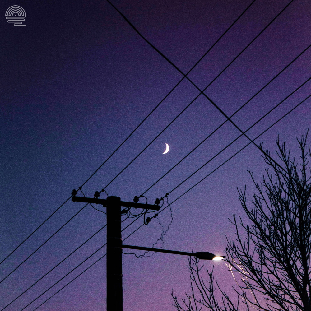 Moonlit