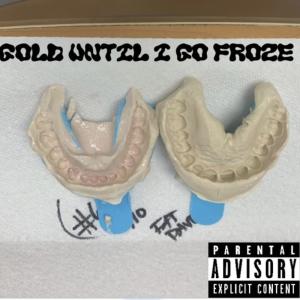 Fat Dave的專輯Gold until i go froze (Explicit)