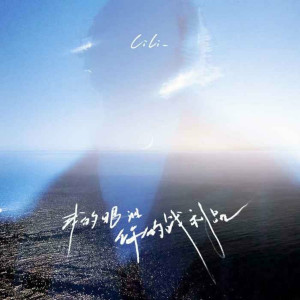 Listen to 我的眼泪你的战利品 song with lyrics from cici_
