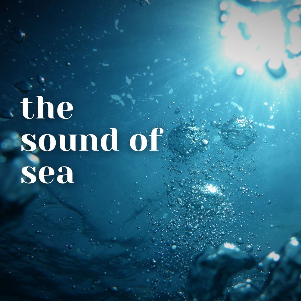 La mer: 'Dialogue du vent et de la mer'