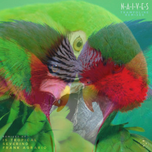 Album Trampoline (Remixes) from Naives