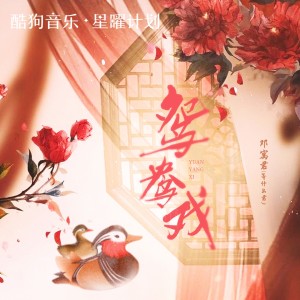 Album 鸳鸯戏 from 邓寓君(等什么君)