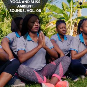 Dengarkan lagu Morning Mindfulness (Sleep Sounds) nyanyian Elizabeth Wil dengan lirik