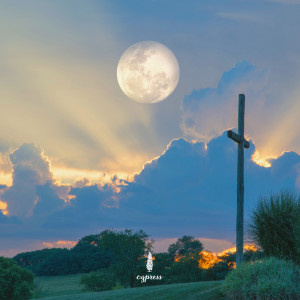Album 마음이 차분해지는 평온한 힐링음악 1 Peaceful Healing Music To Ease Your Heart 1 oleh 사이프러스 Cypress