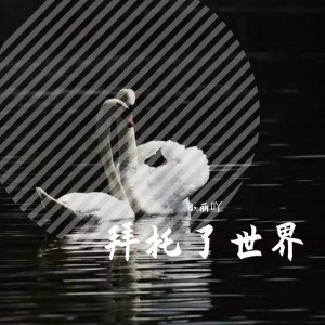 收聽小麗吖的別叫我達芬奇 (特別版)歌詞歌曲