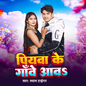 Listen to Piyawa Ke Gave Aawa song with lyrics from Shyam Tiger
