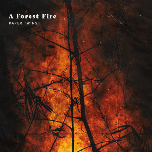 Album A Forest Fire from Paper Twins