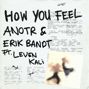 ANOTR的專輯How You Feel