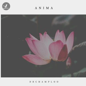 收听Drchamploo的Anima歌词歌曲